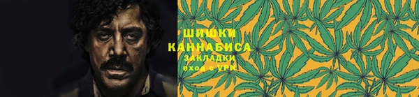 индика Балабаново