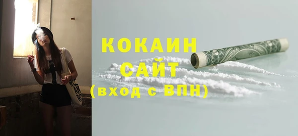 гидра Осинники