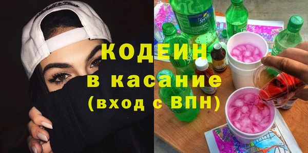 индика Балабаново