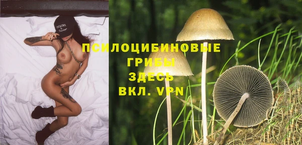 гидра Осинники
