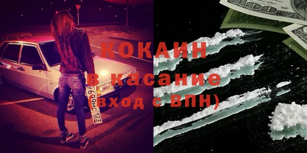 индика Балабаново