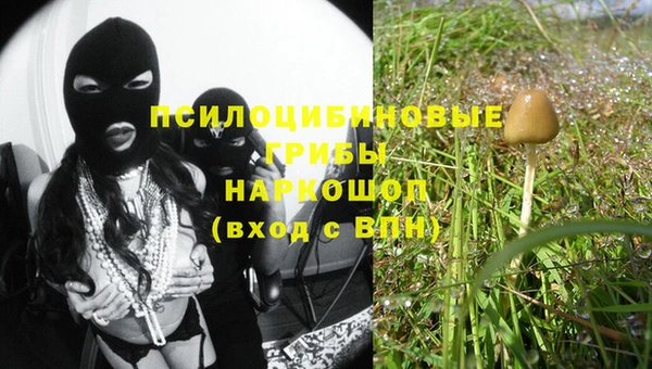 индика Балабаново