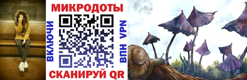 Псилоцибиновые грибы мицелий  Купить  Баймак 